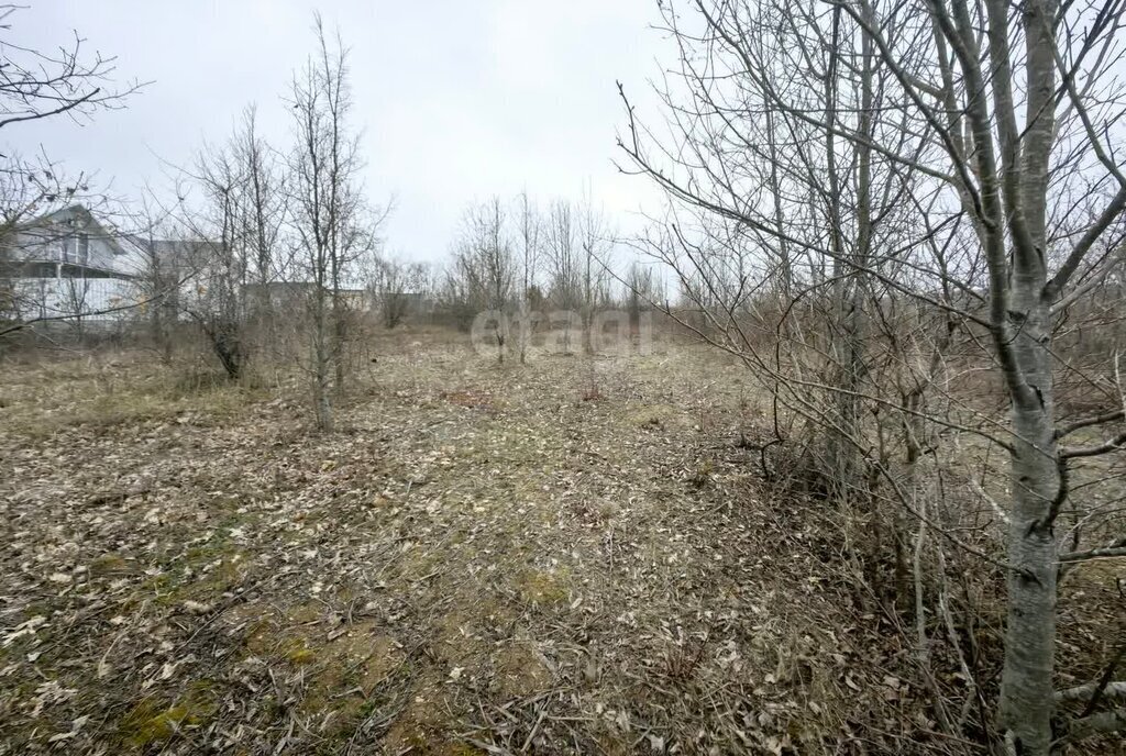 земля г Новороссийск с Борисовка фото 11