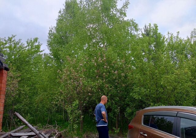 Суроватиха фото