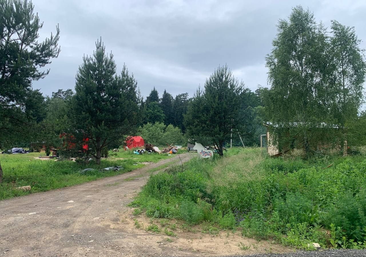земля городской округ Пушкинский г Красноармейск 37 км, 51, СНТ Мирный, Ярославское шоссе фото 1