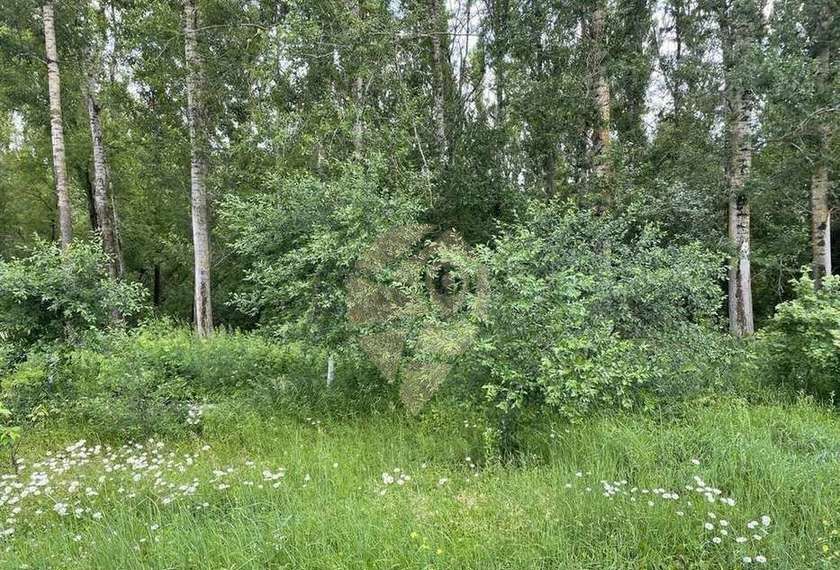 дом р-н Яковлевский г Строитель снт Тополек Старый Оскол фото 27