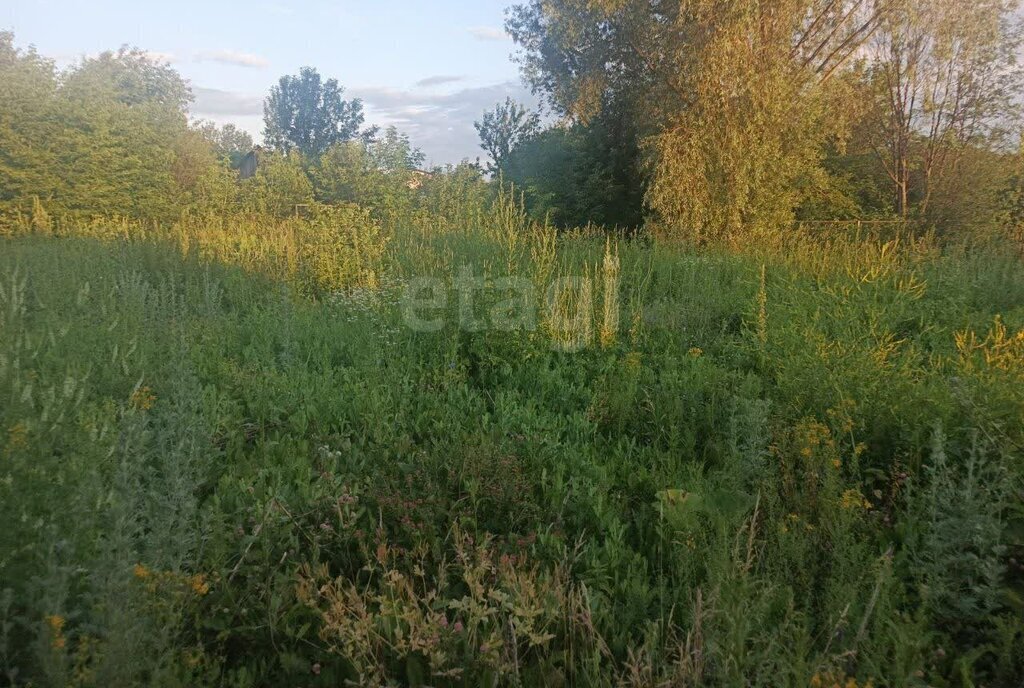 земля р-н Ашинский г Аша ул Злобина Ашинское городское поселение фото 6