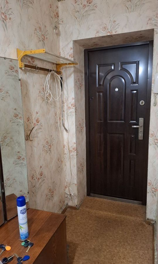 квартира г Биробиджан ул Шолом-Алейхема 85 Еврейская автономная обл. фото 10