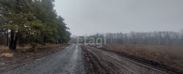 Староворонежское ш фото