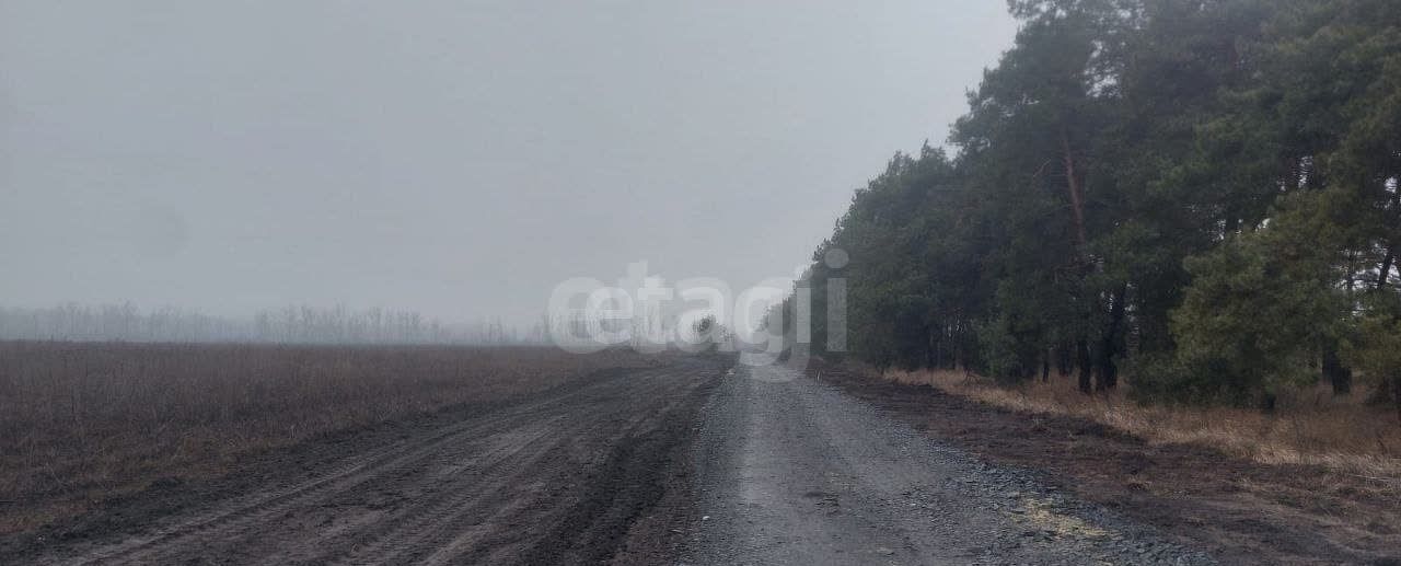 земля г Старый Оскол Староворонежское ш фото 2