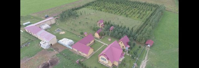 д Григорово Каринское муниципальное образование, ул. Ручейная фото