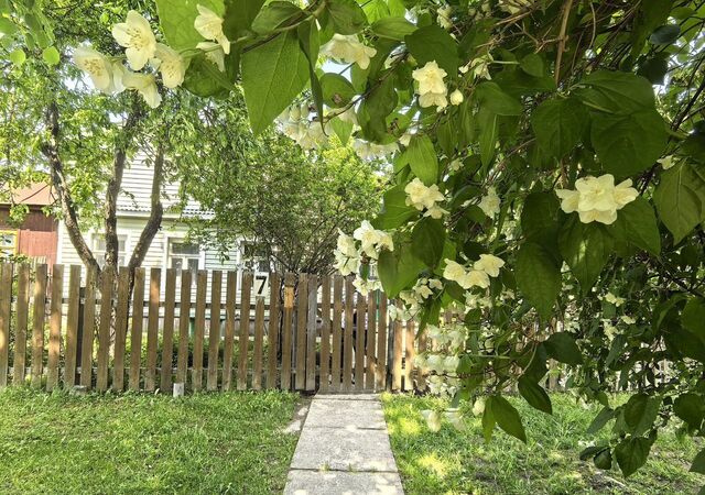 ул Лесная 7 3 км, Ленинский г. о., Новокаширское шоссе фото