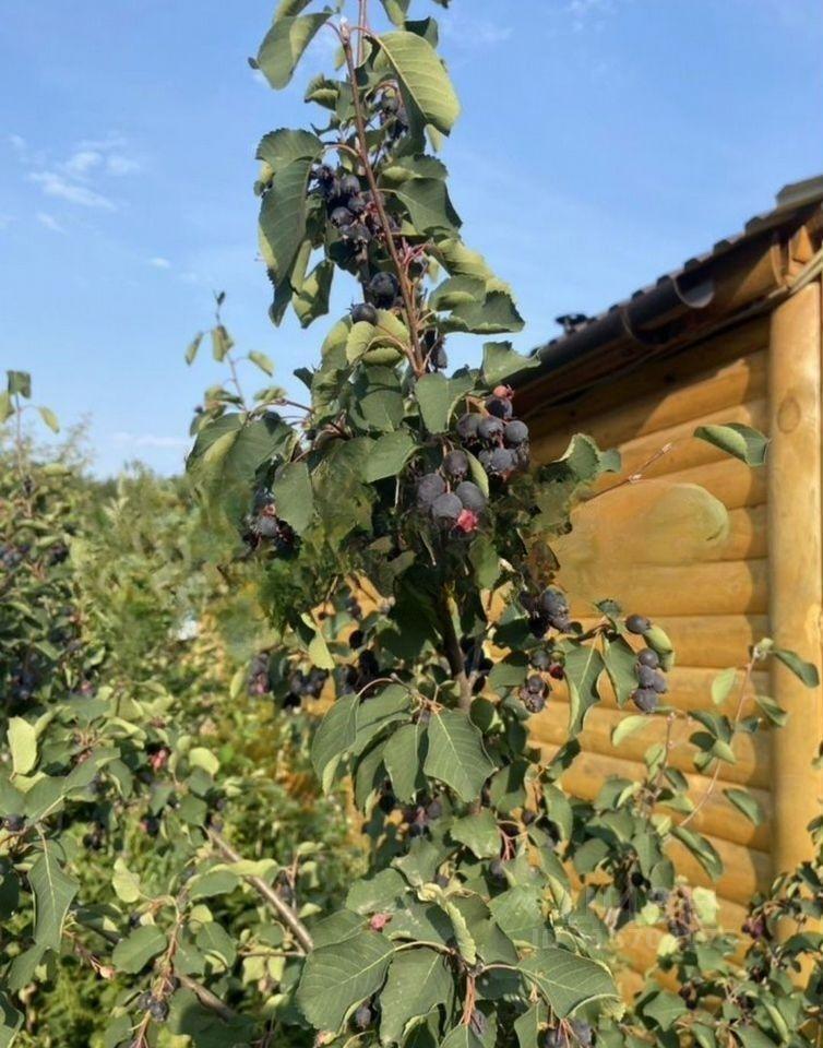 земля г Березовский пер Березовский Берёзовский, Южный управленческий округ, — п. Сарапулка — Белоярское водохранилище фото 8