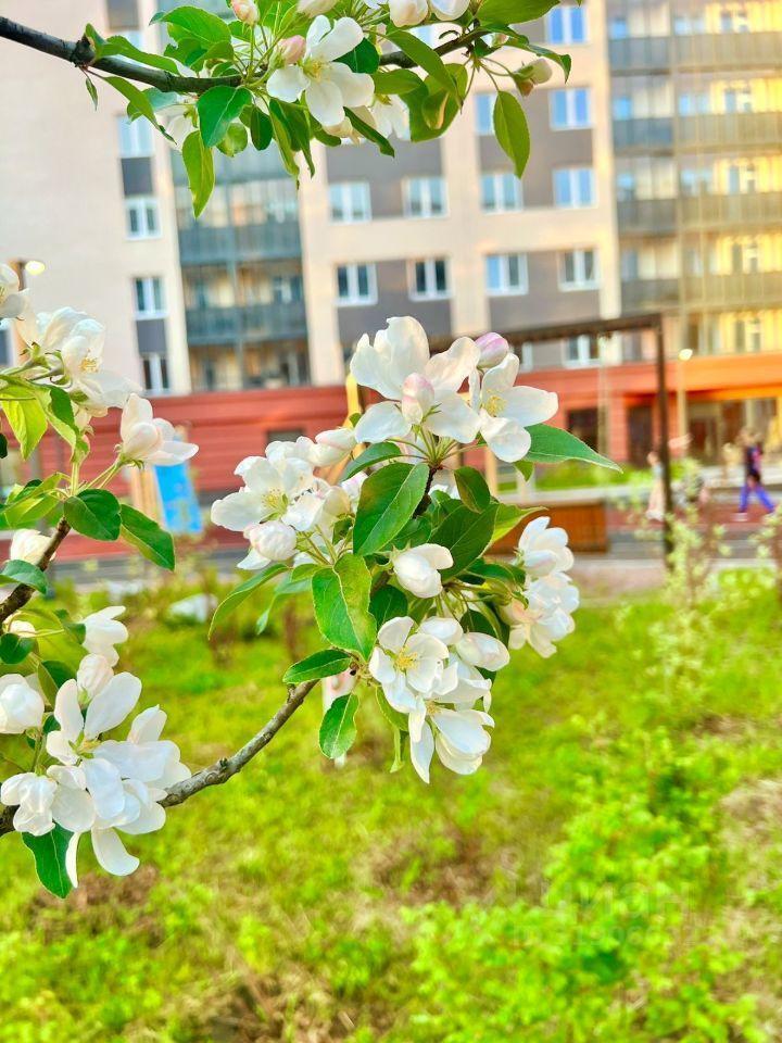 квартира р-н Всеволожский г Мурино ул Шувалова 39 Девяткино фото 37