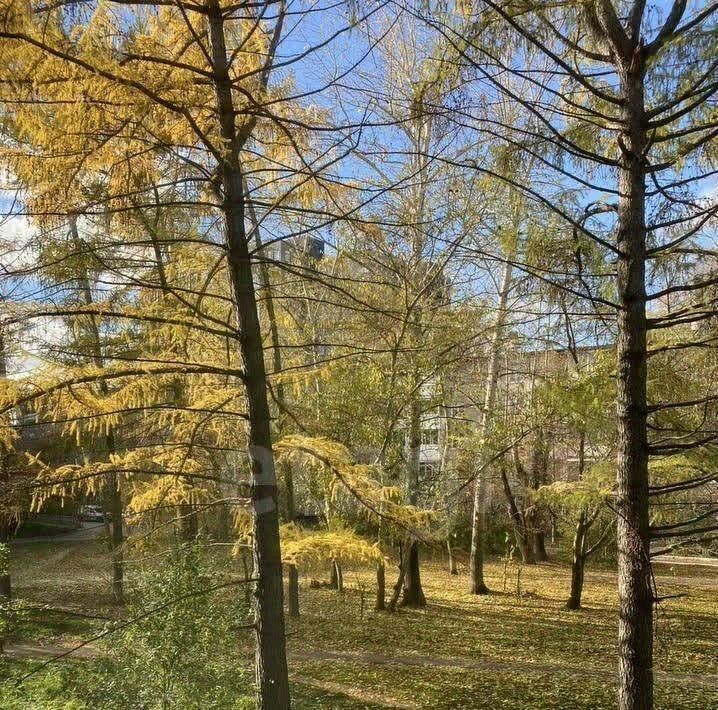 квартира г Пермь р-н Индустриальный ул Стахановская 15 фото 31