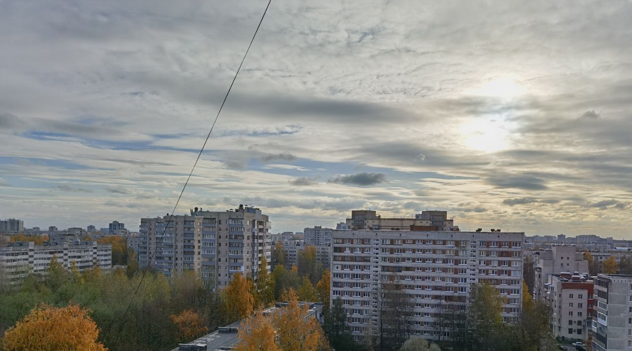 квартира г Санкт-Петербург метро Академическая ул Софьи Ковалевской 16к/5 округ Академическое фото 24