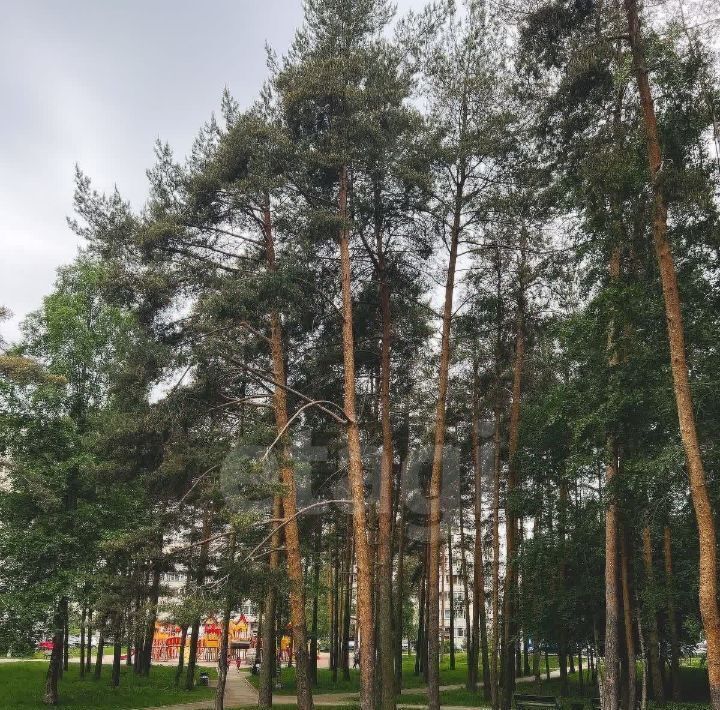 квартира р-н Всеволожский г Всеволожск ул Ленинградская 34/82 Ладожская фото 31