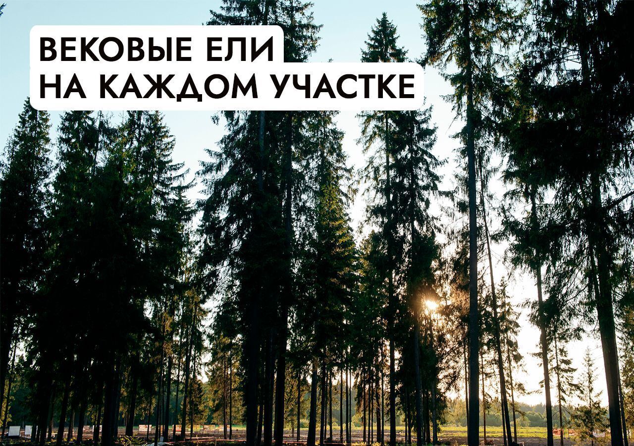 земля г Истра Павловская Слобода, 22 км, КП Миллениум парк, 1, Минское шоссе фото 16
