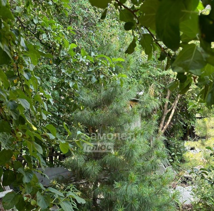 дом г Омск р-н Октябрьский СОСН Шинник-4 тер., аллея 6-я фото 7