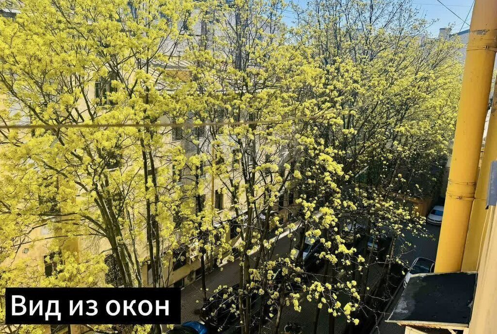 квартира г Санкт-Петербург метро Маяковская ул Марата 10 Владимирский округ фото 22