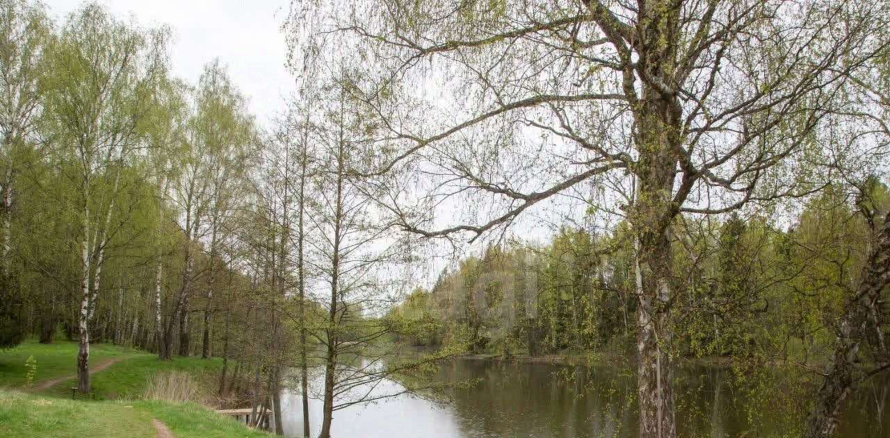 земля г Домодедово д Курганье СНТСН, ул. Садовая, Сады фото 5