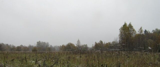 д Барынино фото