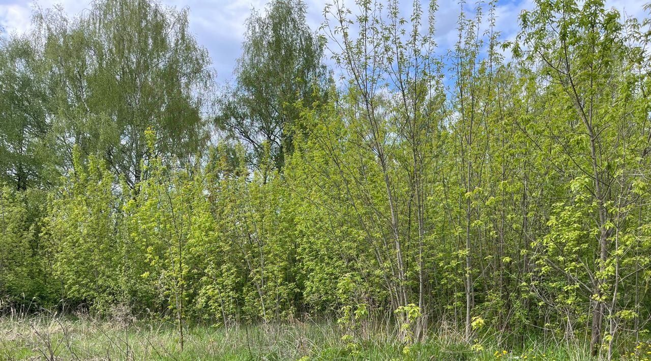 земля г Домодедово д Чулпаново Подольск, Новое фото 2