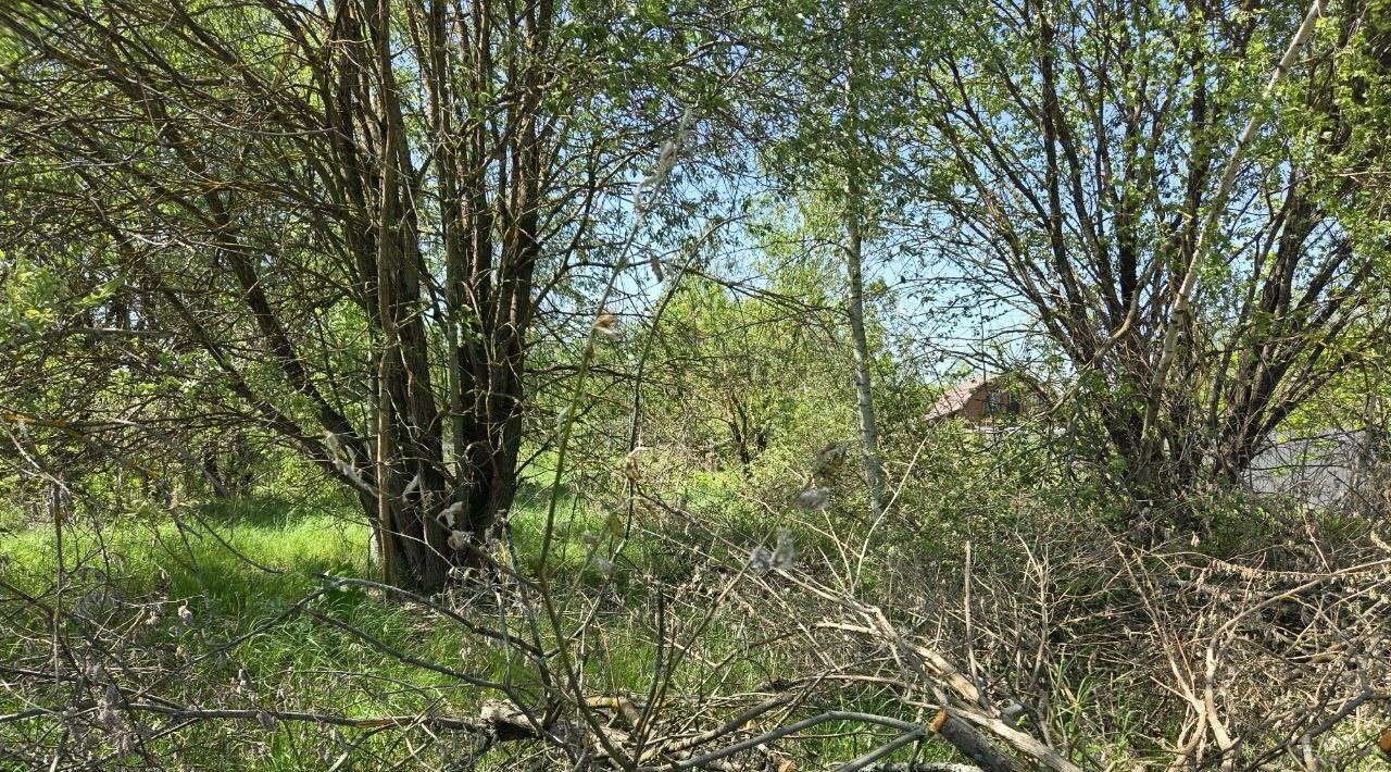 земля г Сергиев Посад с Хомяково Сергиево-Посадский городской округ фото 2