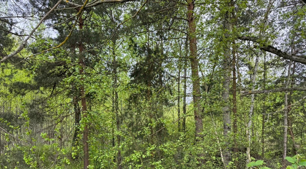 офис городской округ Богородский г Электроугли Железнодорожная фото 4