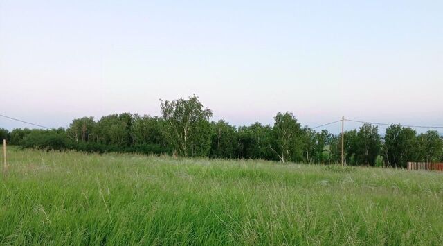 снт Аист Емельяново городское поселение фото