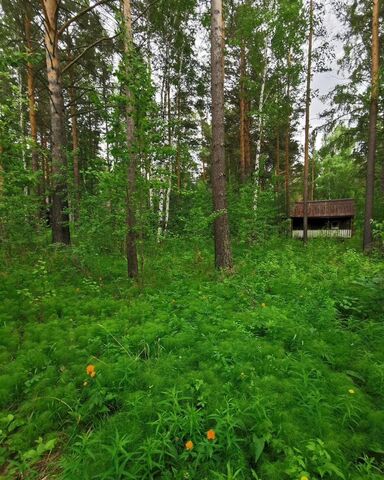Сосновый пр, Иркутск фото