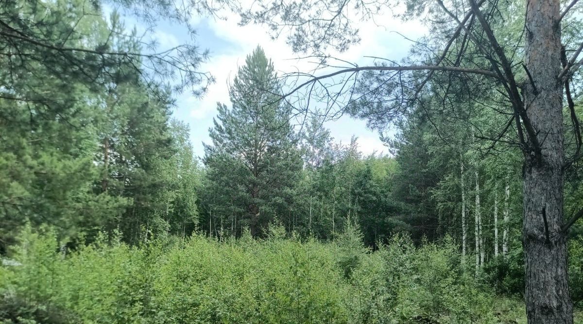 земля г Верхняя Пышма снт тер.Васелекош 4 фото 2