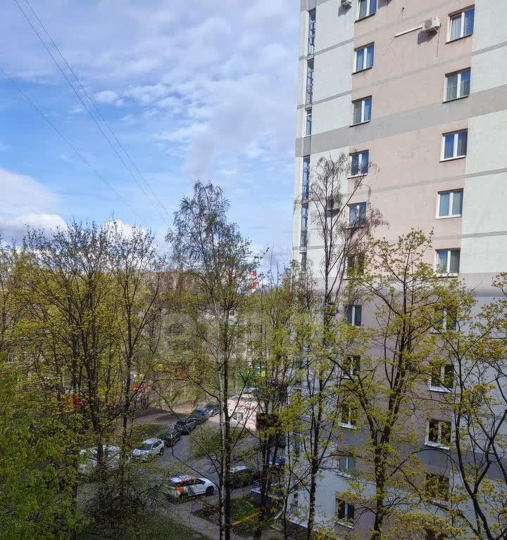 квартира г Санкт-Петербург Полюстрово пр-кт Пискарёвский 37 округ Полюстрово фото 17