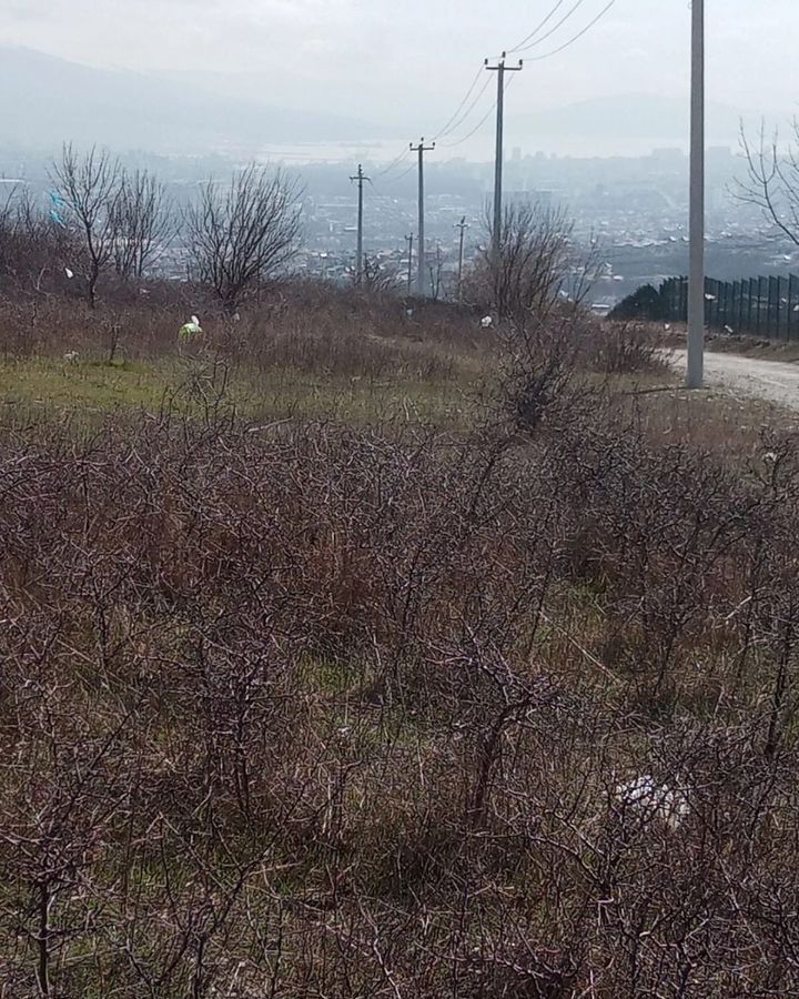 земля г Новороссийск с Борисовка снт Дружба 1А фото 2