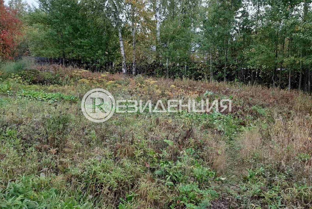 земля г Пермь ул Бородулинская Кировский район фото 1