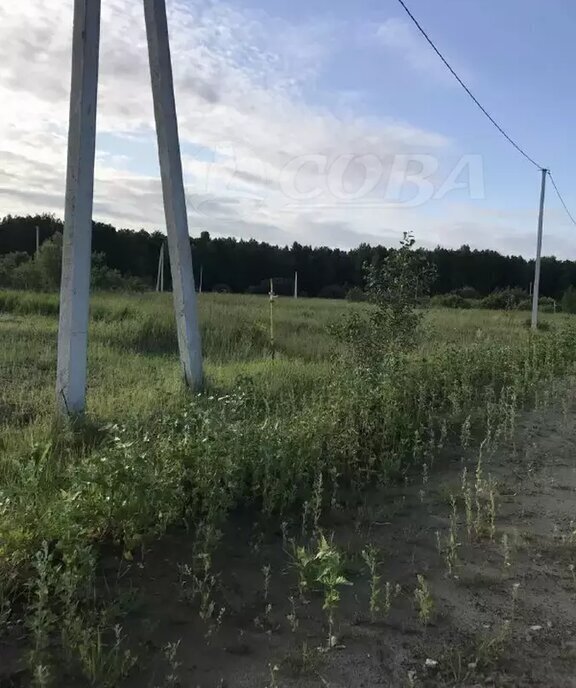 земля г Заводоуковск Центральный фото 1