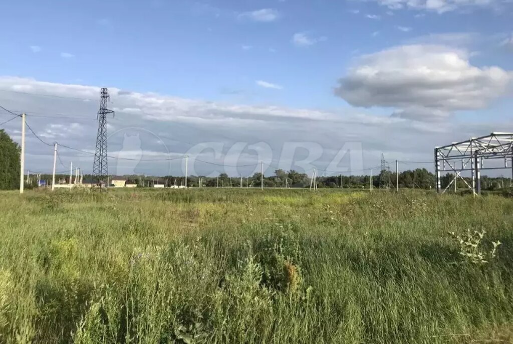 земля г Заводоуковск Центральный фото 2