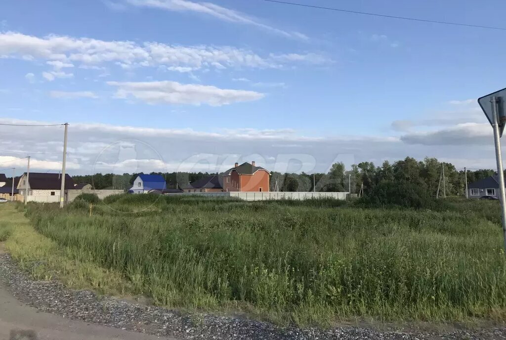 земля г Заводоуковск Центральный фото 2