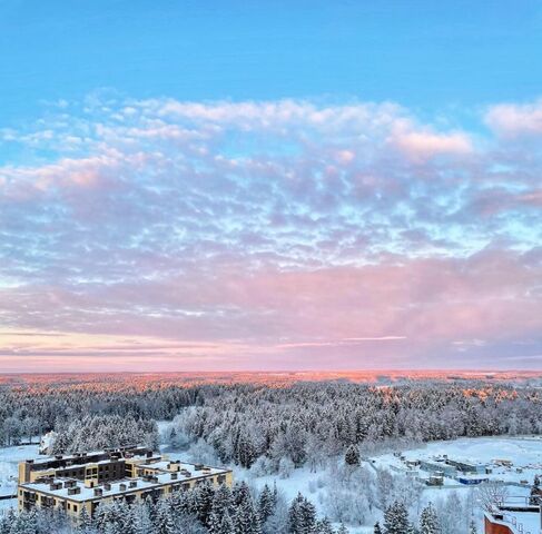 квартира дом 209 фото
