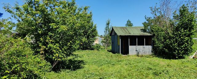 р-н Петродворцовый коллективное огородничество Вега фото