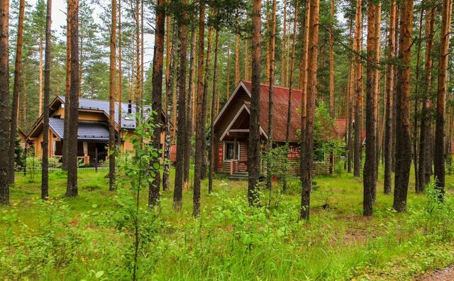 направление Павелецкое (юго-восток) ш Новокаширское 25 км, КП Бор-2, Домодедово фото