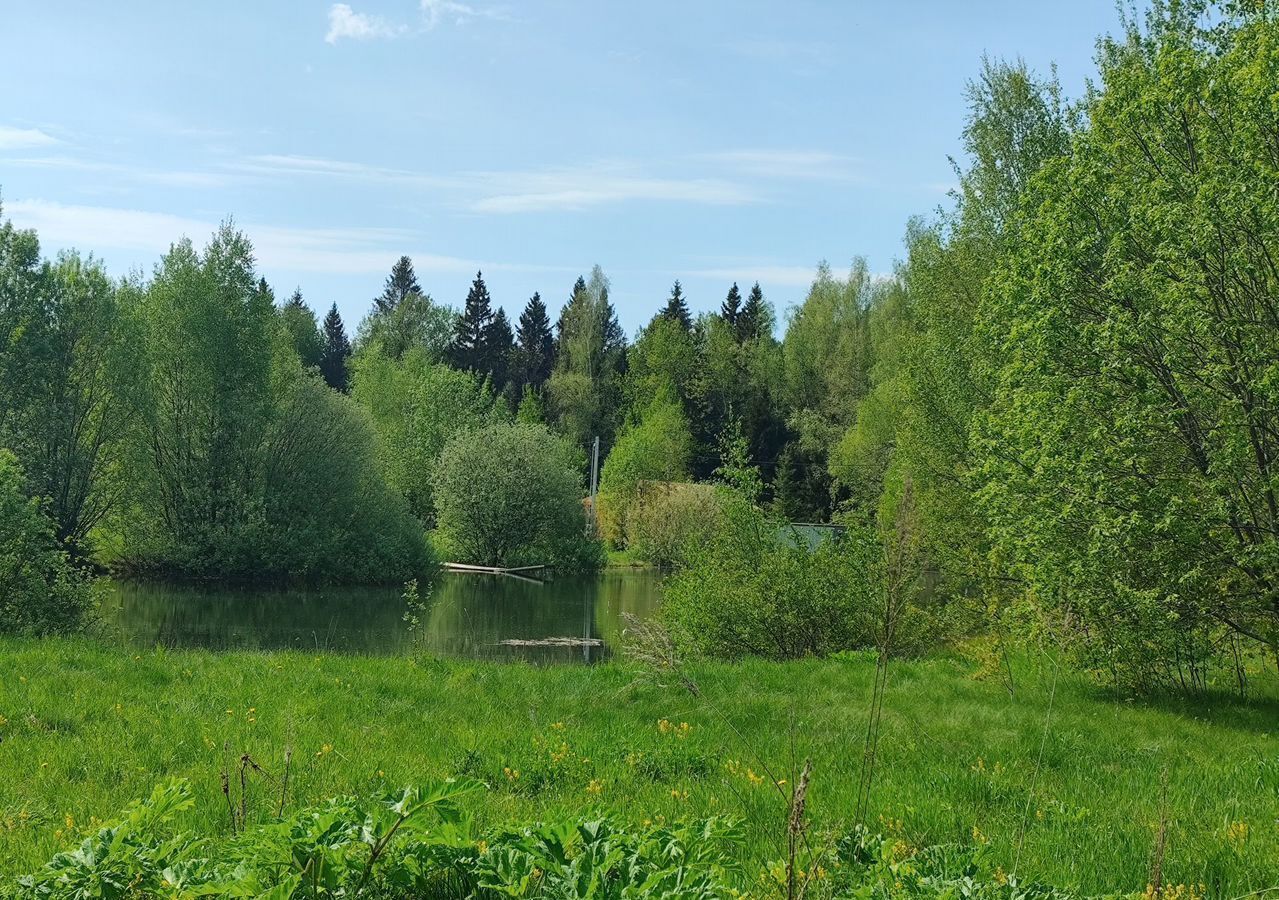 земля городской округ Сергиево-Посадский г Краснозаводск 71 км, коттеджный пос. Яркое, 116, Ярославское шоссе фото 3