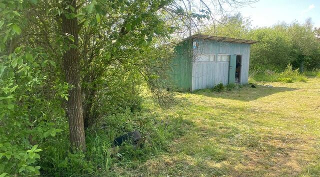 ул. Малая Садовая, 57, Антропшино садоводческий массив, Строитель СНТ фото