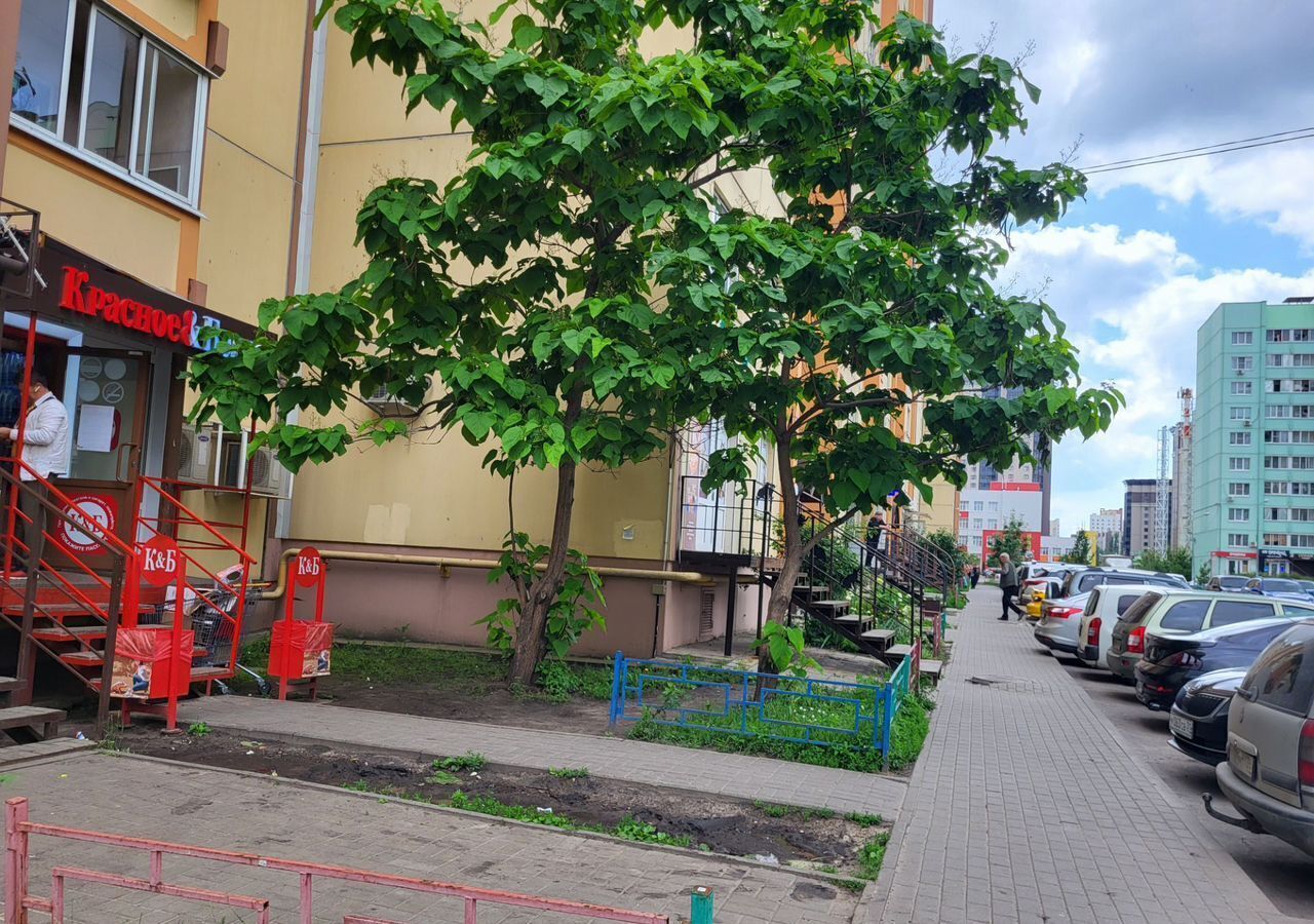 торговое помещение г Воронеж р-н Центральный ул Шишкова 144б фото 3