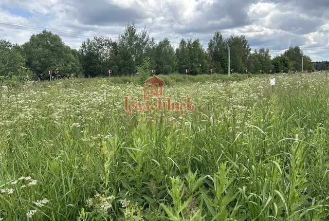 земля д Уголки фото