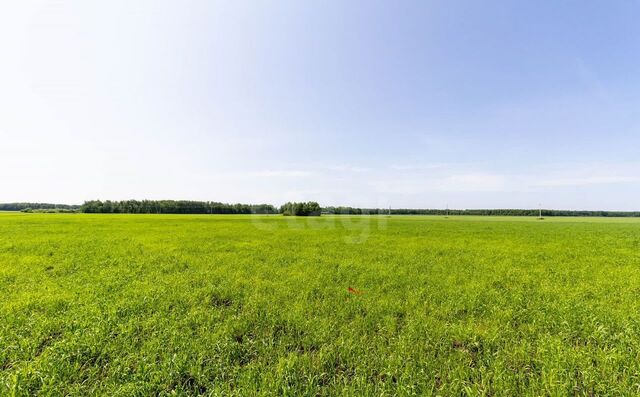 земля Горьковское муниципальное образование, Тюмень фото