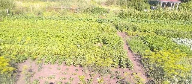 земля р-н Новооскольский г Новый Оскол ул Лебедева 4 фото