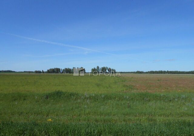 Р-256 Чуйский тракт, 218-й километр, Новоалтайск фото