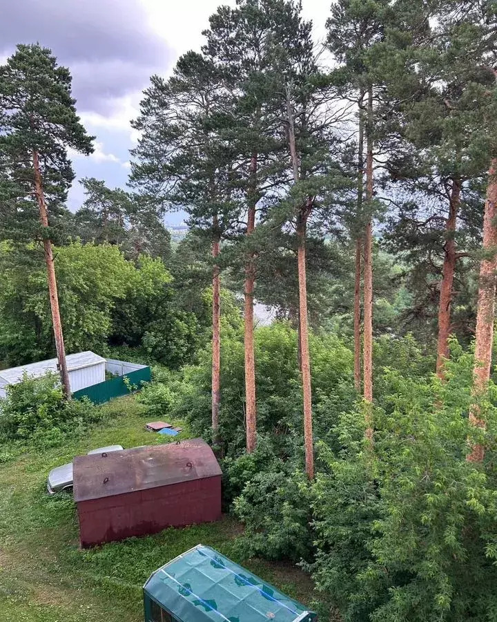 квартира г Томск с Тимирязевское ул Октябрьская 15 р-н Кировский фото 21