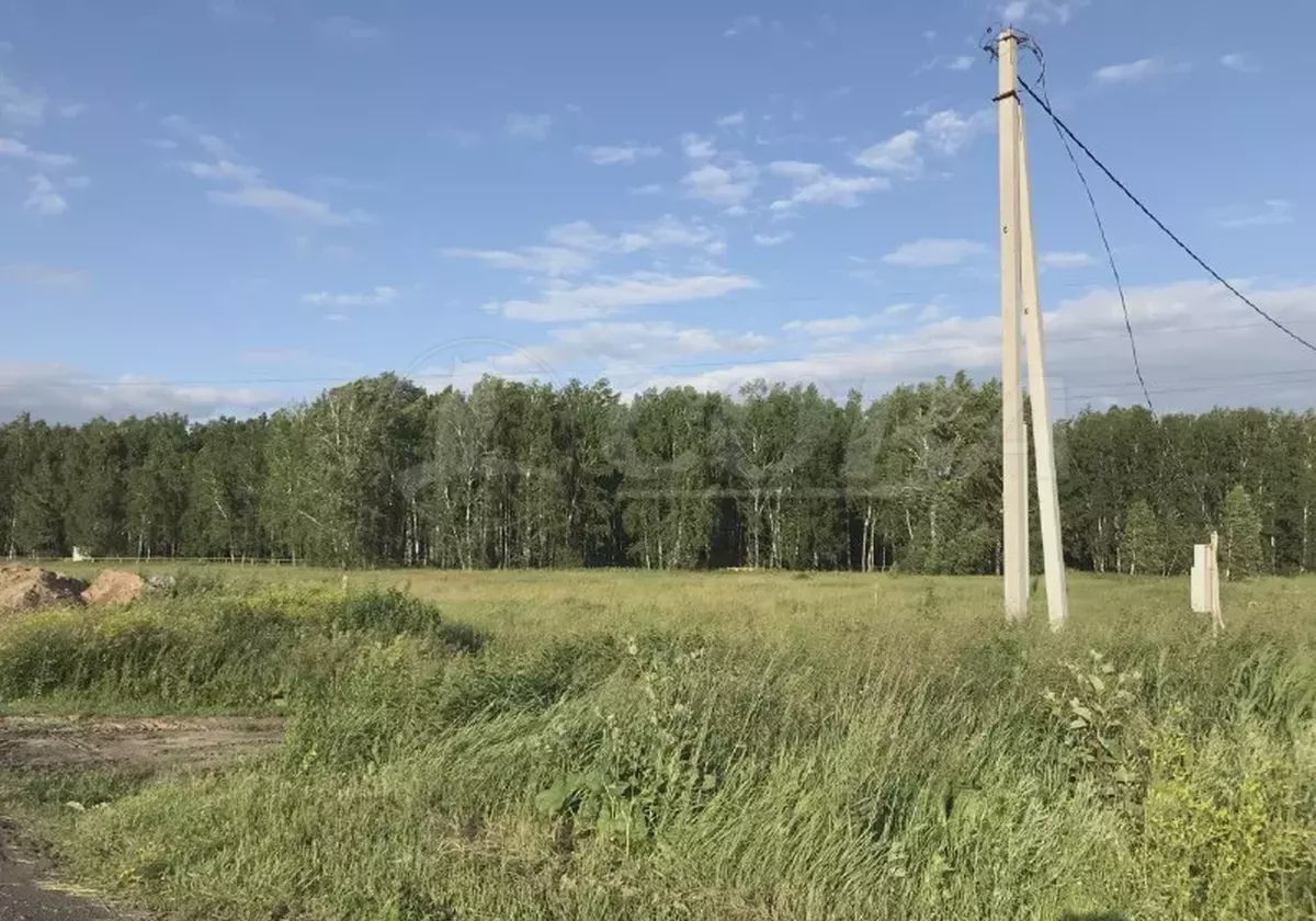 земля г Заводоуковск фото 1