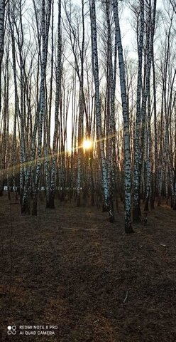 с Солопенки городской округ Алексин фото