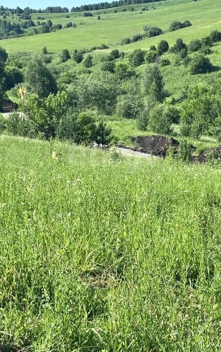 земля г Горно-Алтайск фото 2