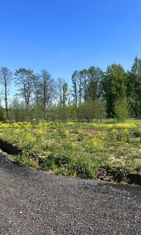 земля п Денежниково 29 км, Бронницы, Новорязанское шоссе фото