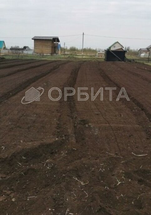 земля г Тюмень снт Царево Центральный административный округ фото 4