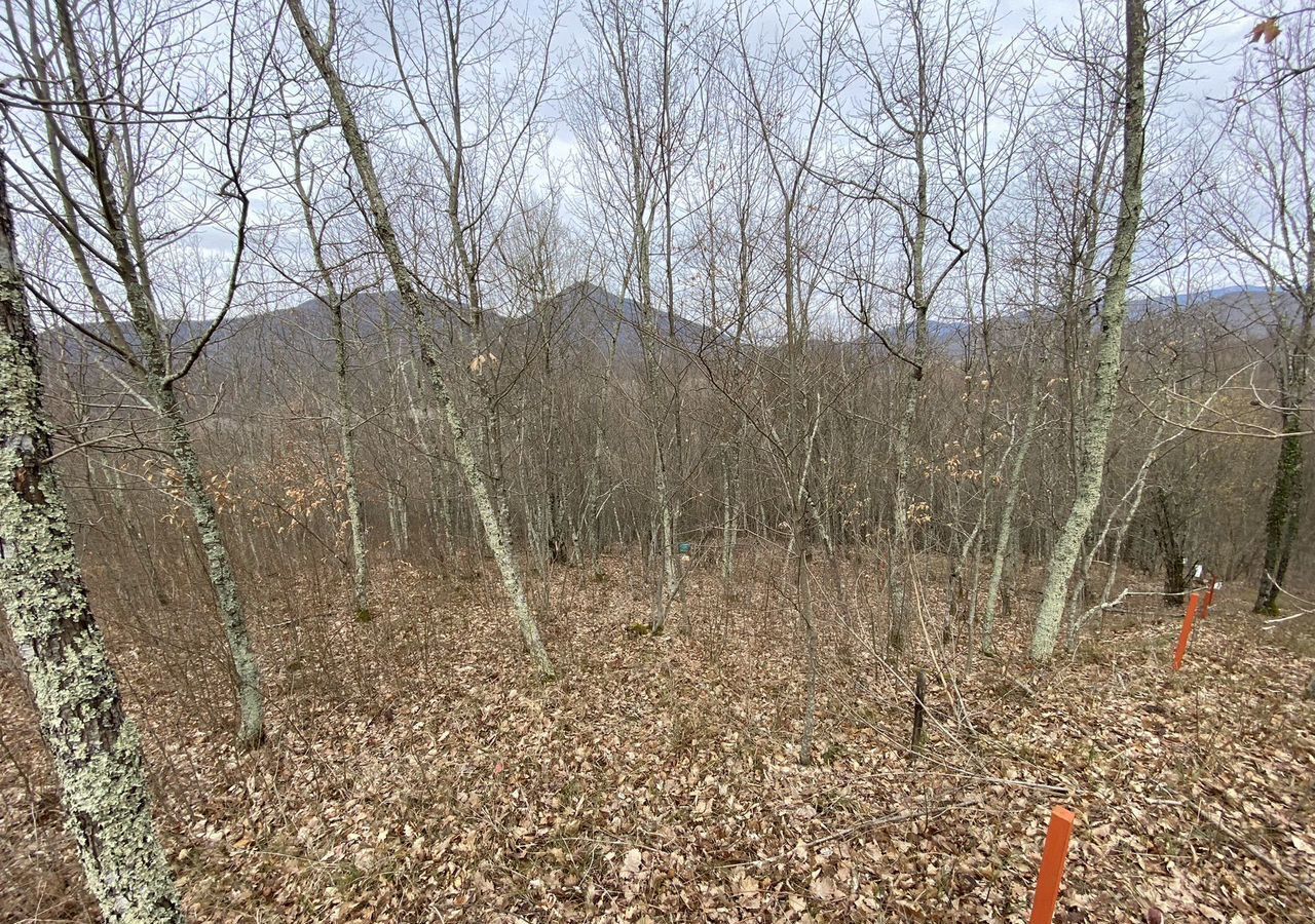 земля г Геленджик с Дивноморское тер. ДНТ Океан фото 3