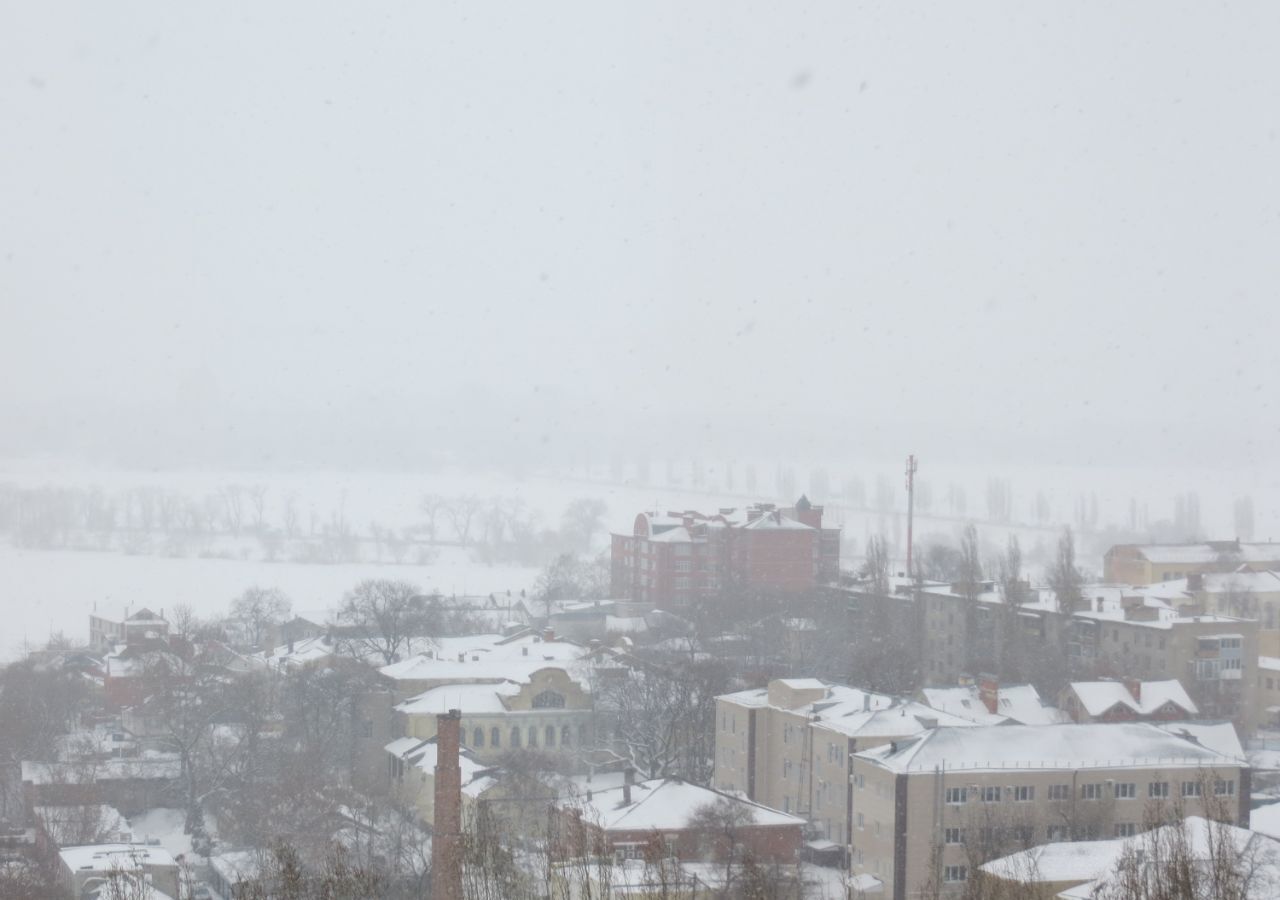 квартира г Воронеж р-н Центральный ул Арсенальная 4а фото 4